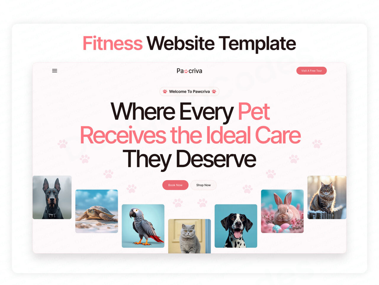 Pawcriva-Pet-Care-Framer-Website-Template | DesignToCodes