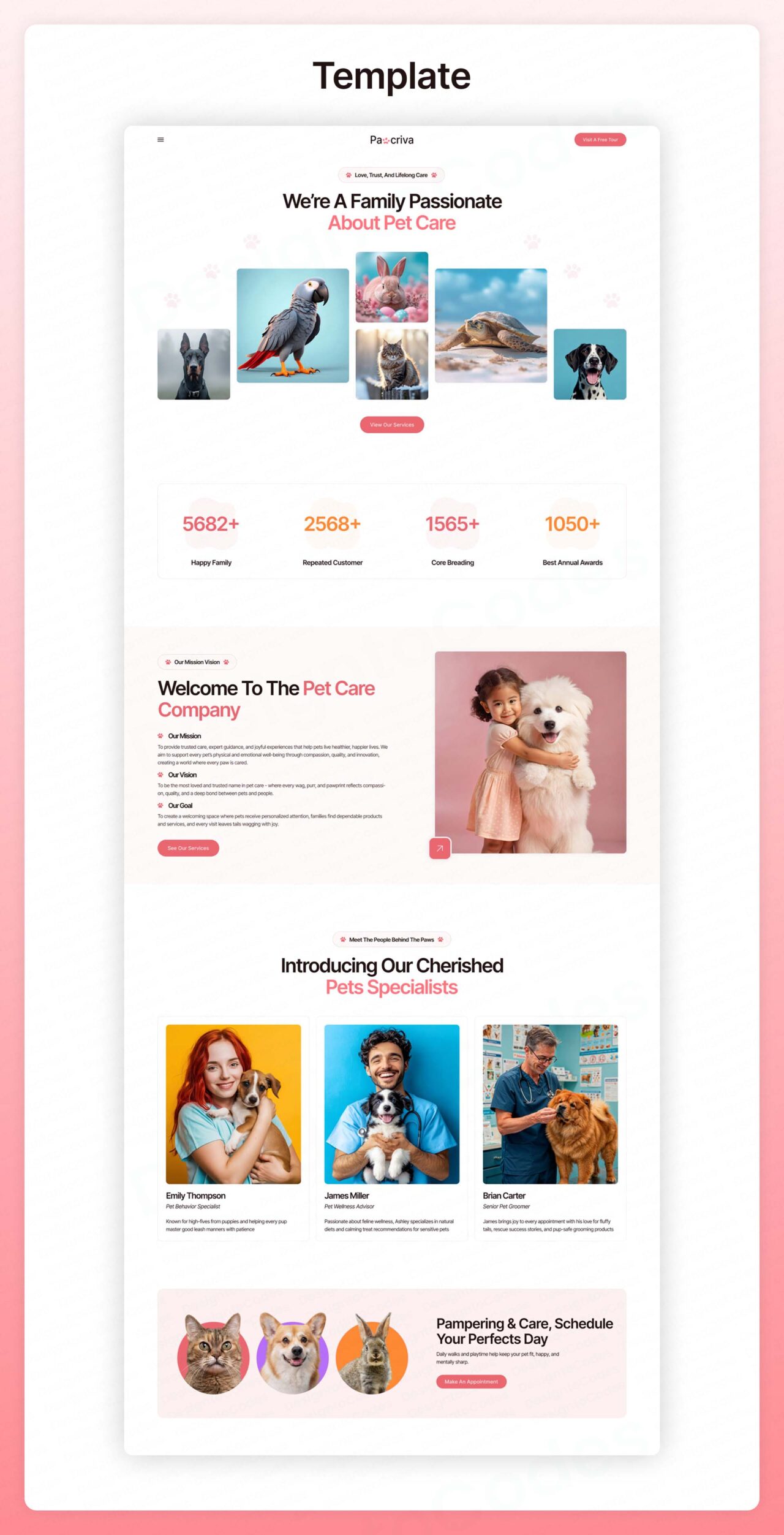 Pawcriva-Pet-Care-Framer-Website-Template | DesignToCodes