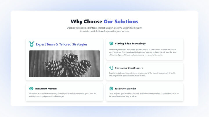 Thumbnail-Why-Choose-Us-Style-99 | DesignToCodes